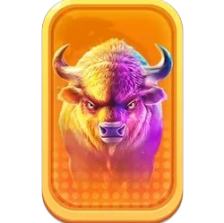 Buffalo
King