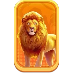Lion
Safari